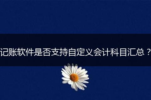 记账软件是否支持自定义会计科目汇总？