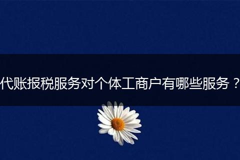 代账报税服务对个体工商户有哪些服务？