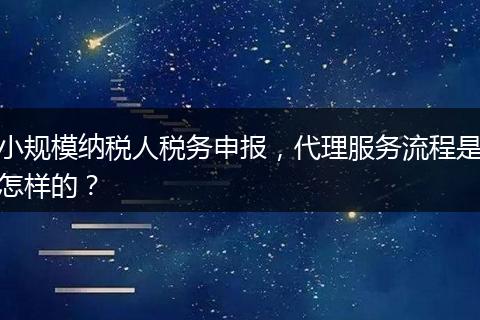 小规模纳税人税务申报，代理服务流程是怎样的？