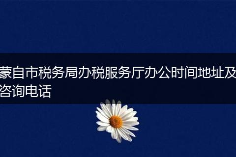 蒙自市税务局办税服务厅办公时间地址及咨询电话