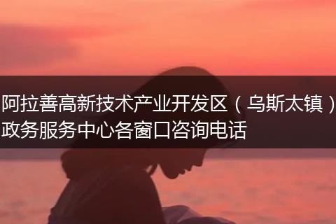 阿拉善高新技术产业开发区（乌斯太镇）政务服务中心各窗口咨询电话