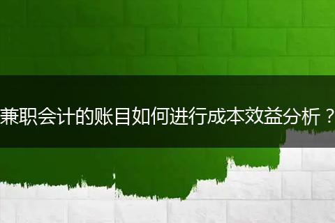 兼职会计的账目如何进行成本效益分析？