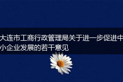 大连市工商行政管理局关于进一步促进中小企业发展的若干意见