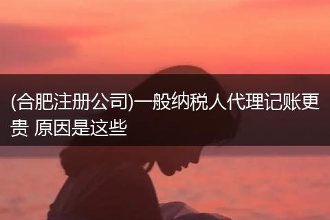 (合肥注册公司)一般纳税人代理记账更贵 原因是这些