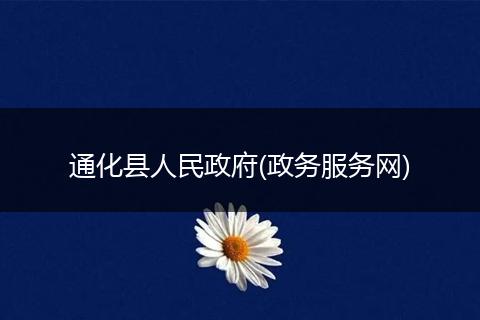 通化县人民政府(政务服务网)