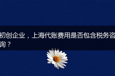 初创企业，上海代账费用是否包含税务咨询？