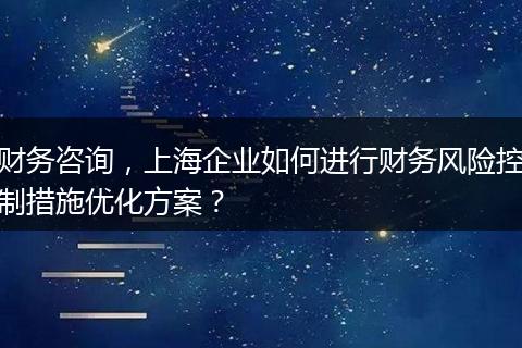 财务咨询，上海企业如何进行财务风险控制措施优化方案？