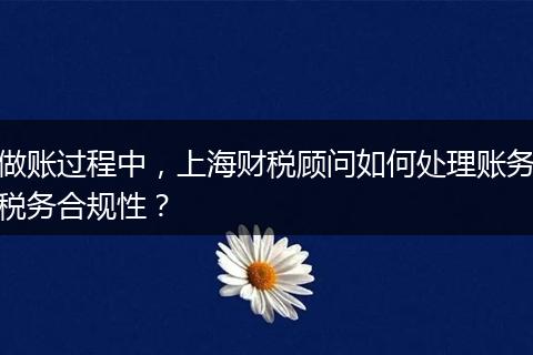 做账过程中，上海财税顾问如何处理账务税务合规性？