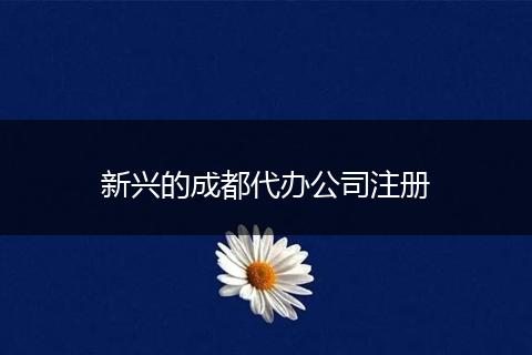 新兴的成都代办公司注册