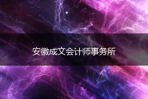 安徽成文会计师事务所
