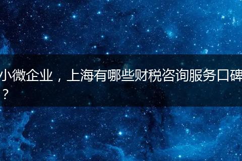 小微企业，上海有哪些财税咨询服务口碑？