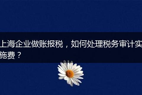上海企业做账报税，如何处理税务审计实施费？