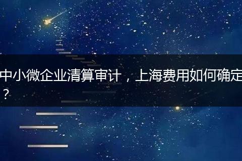 中小微企业清算审计，上海费用如何确定？