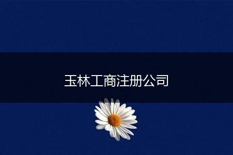 玉林工商注册公司