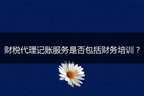 财税代理记账服务是否包括财务培训？