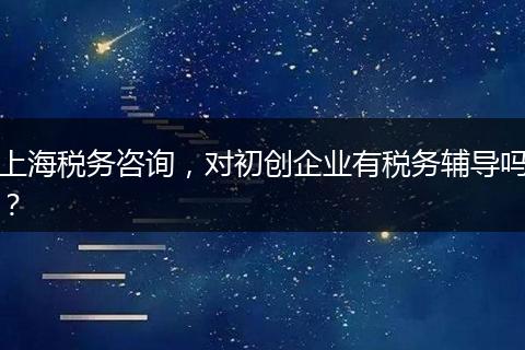 上海税务咨询，对初创企业有税务辅导吗？