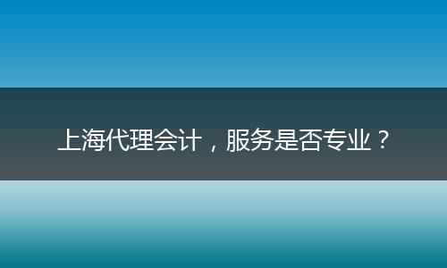 上海代理会计，服务是否专业？