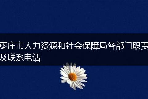 枣庄市人力资源和社会保障局各部门职责及联系电话