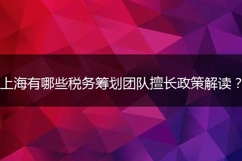 上海有哪些税务筹划团队擅长政策解读？