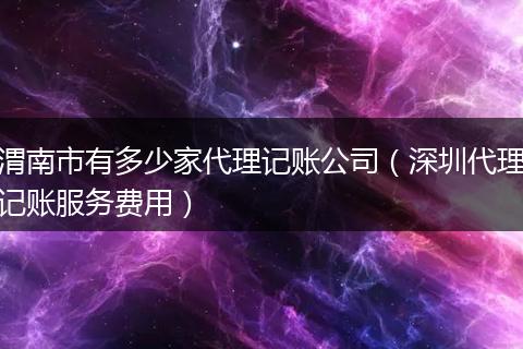 渭南市有多少家代理记账公司(深圳代理记账服务费用)