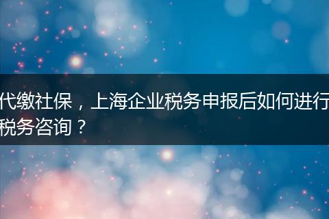 代缴社保，上海企业税务申报后如何进行税务咨询？