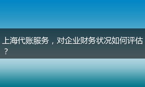 上海代账服务，对企业财务状况如何评估？