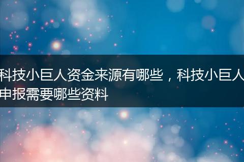 科技小巨人资金来源有哪些，科技小巨人申报需要哪些资料