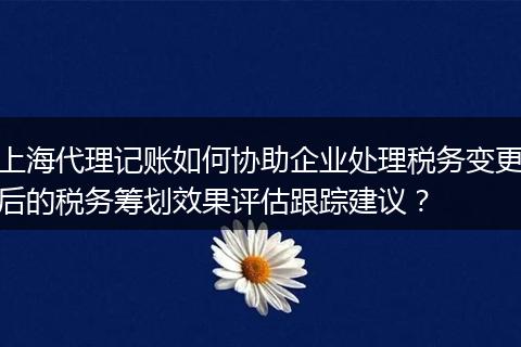 上海代理记账如何协助企业处理税务变更后的税务筹划效果评估跟踪建议？