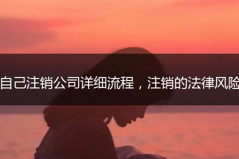 自己注销公司详细流程，注销的法律风险