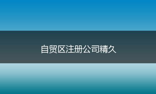 自贸区注册公司精久