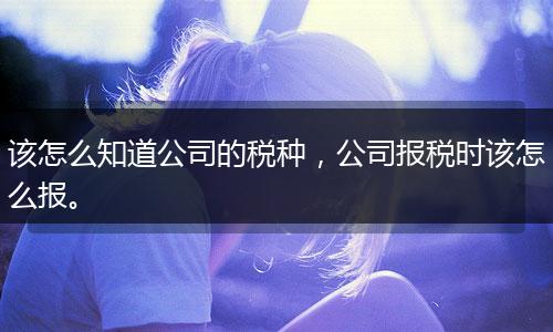 该怎么知道公司的税种，公司报税时该怎么报。