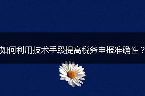 如何利用技术手段提高税务申报准确性？
