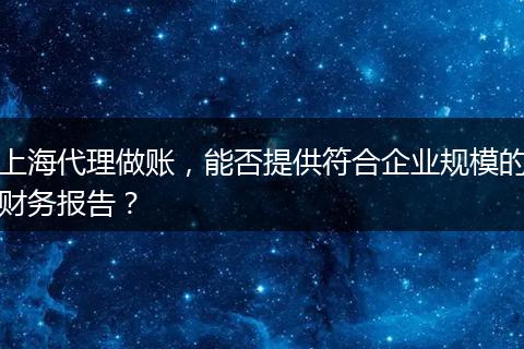 上海代理做账，能否提供符合企业规模的财务报告？