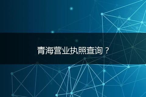 青海营业执照查询？