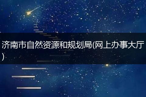 济南市自然资源和规划局(网上办事大厅)