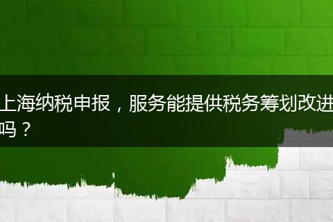 上海纳税申报，服务能提供税务筹划改进吗？