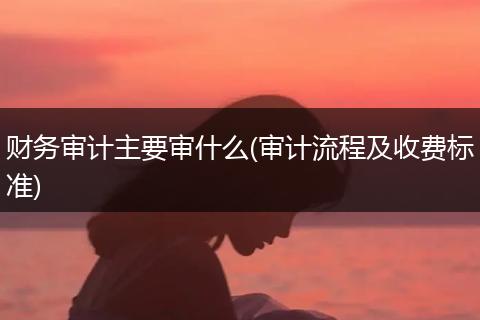 财务审计主要审什么(审计流程及收费标准)