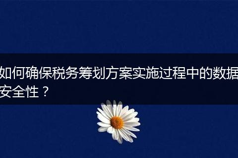 如何确保税务筹划方案实施过程中的数据安全性？