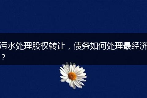 污水处理股权转让，债务如何处理最经济？
