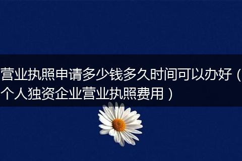 营业执照申请多少钱多久时间可以办好（个人独资企业营业执照费用）