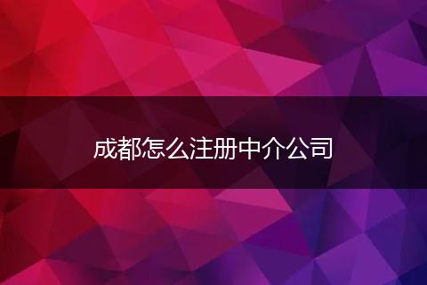 成都怎么注册中介公司