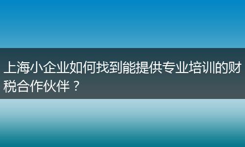 上海小企业如何找到能提供专业培训的财税合作伙伴？