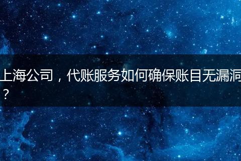 上海公司，代账服务如何确保账目无漏洞？