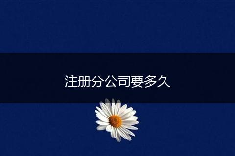 注册分公司要多久