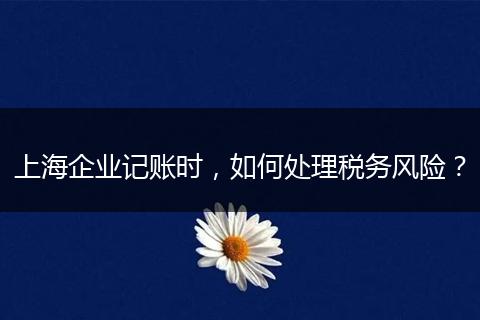 上海企业记账时，如何处理税务风险？