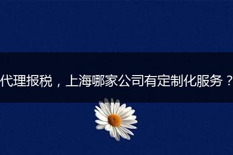代理报税，上海哪家公司有定制化服务？