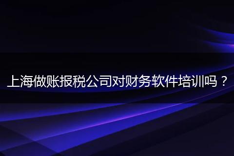 上海做账报税公司对财务软件培训吗？