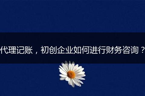 代理记账，初创企业如何进行财务咨询？