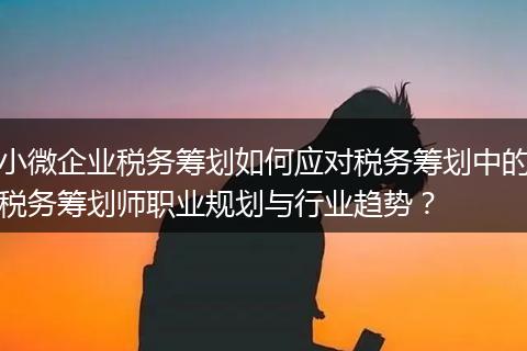 小微企业税务筹划如何应对税务筹划中的税务筹划师职业规划与行业趋势？