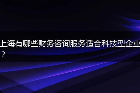 上海有哪些财务咨询服务适合科技型企业？